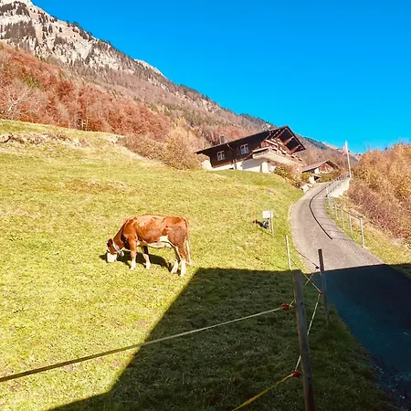 Luna - Authentic Swiss By Brienz *