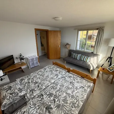 Horská chata Whole Traditional Swiss - Alps & Retreat Niederried bei Interlaken