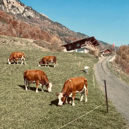 Luna - Authentic Swiss By Brienz Alpehytte Niederried bei Interlaken