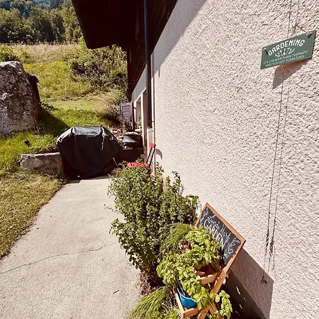 Luna - Authentic Swiss By Brienz Alpstuga Niederried bei Interlaken